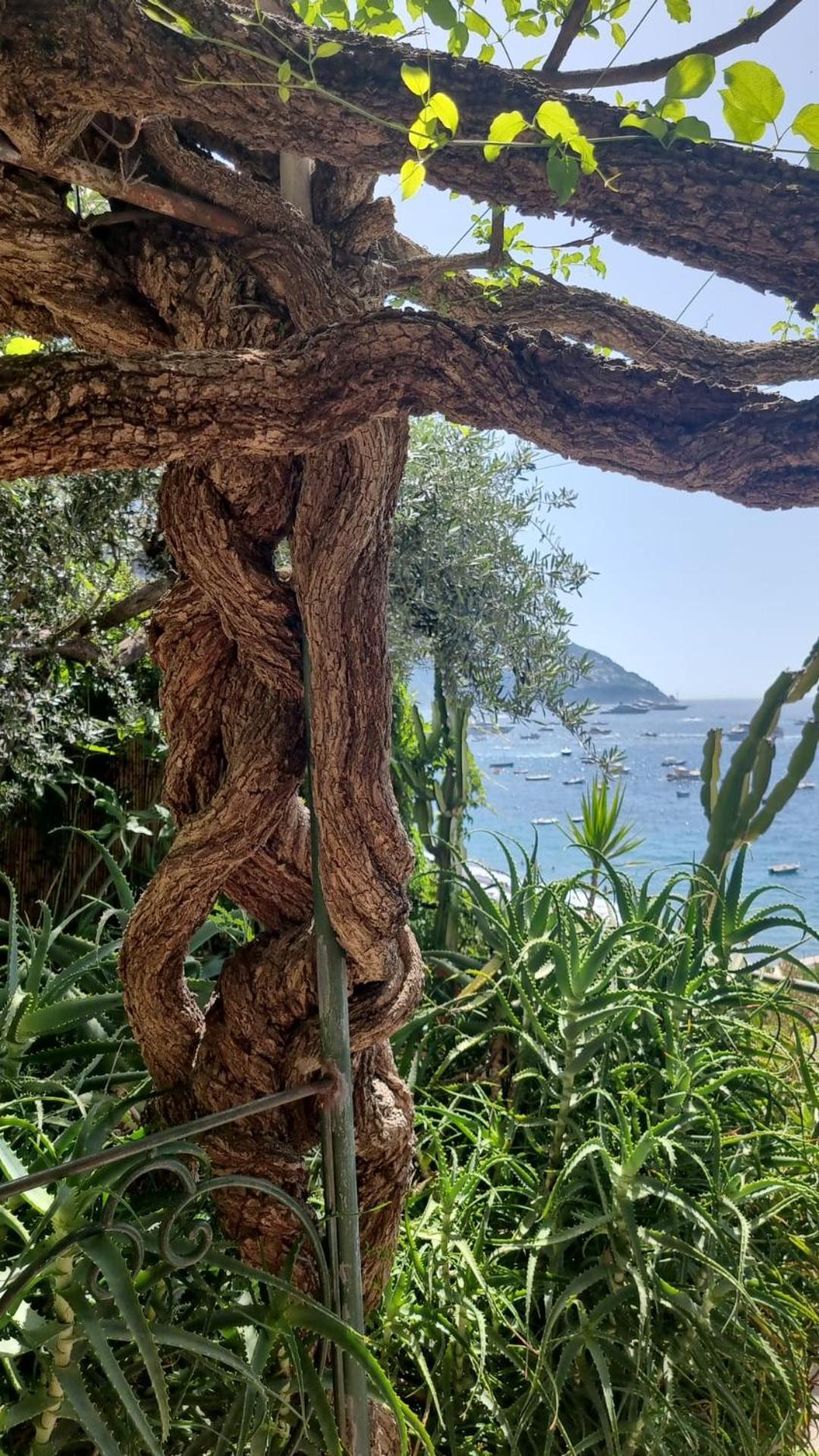 La Dolce Vita A Positano Boutique Hotel Exterior photo